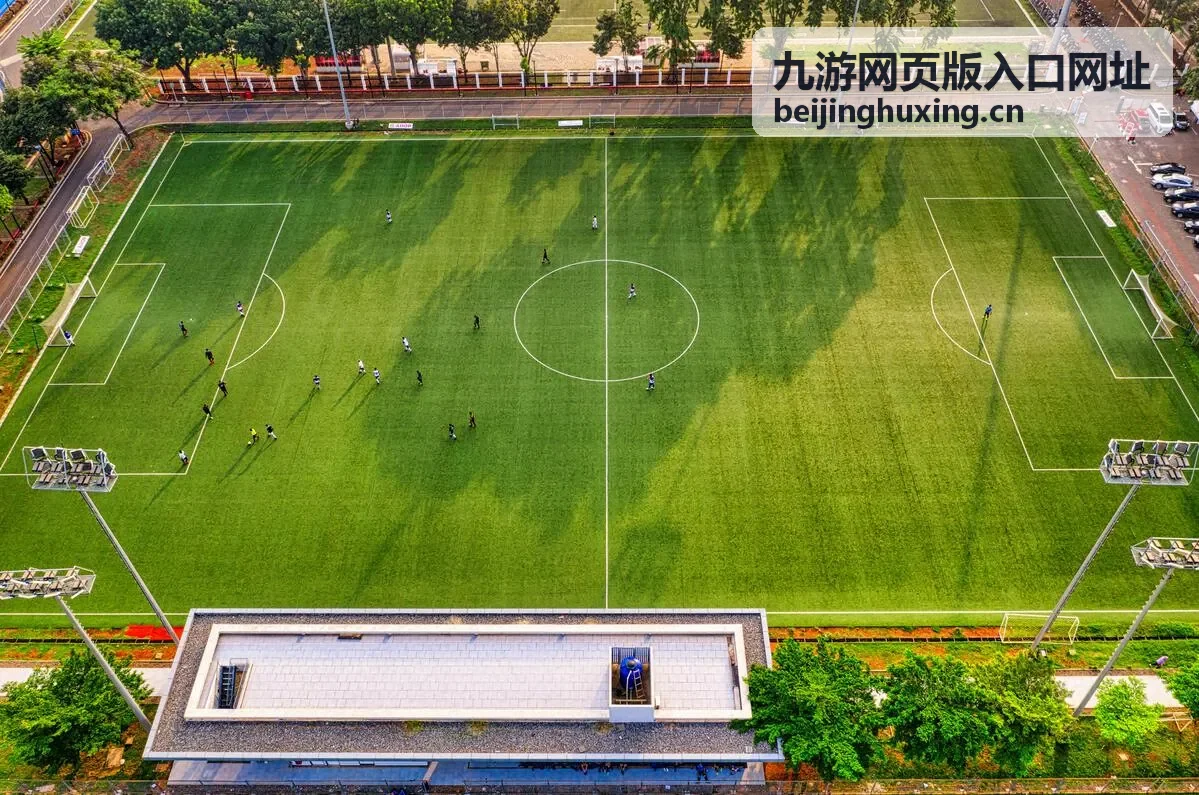 九游网页版入口网址常见问题排查封面