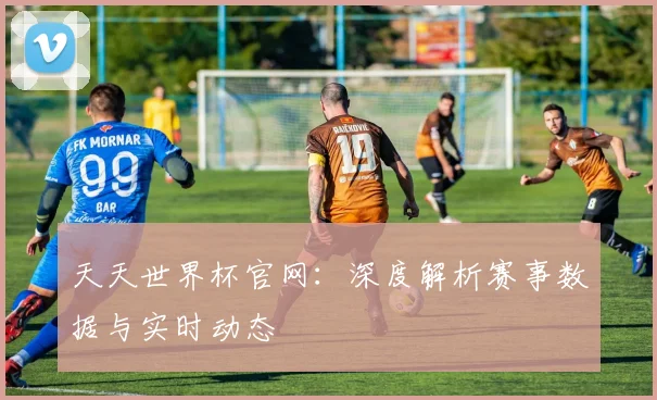 天天世界杯官网：深度解析赛事数据与实时动态
