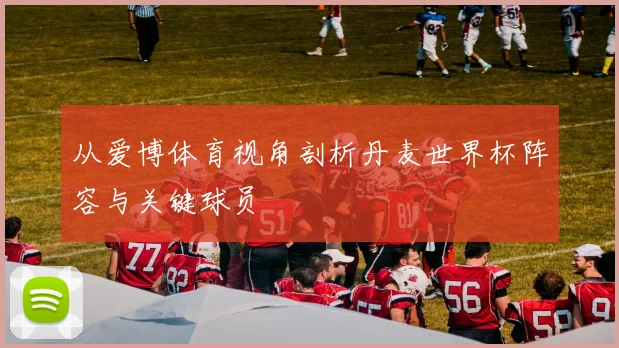 从爱博体育视角剖析丹麦世界杯阵容与关键球员