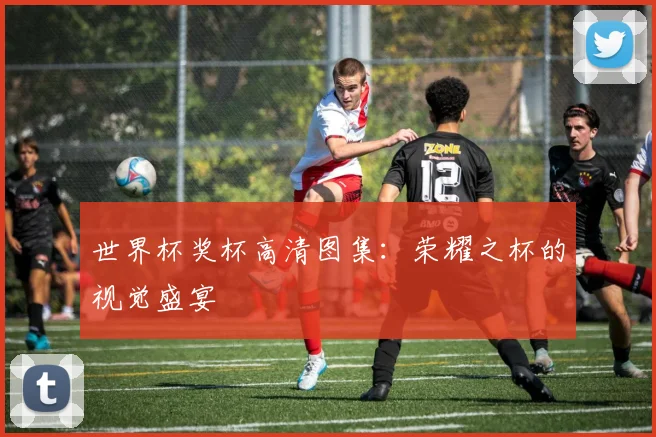 世界杯奖杯高清图集：荣耀之杯的视觉盛宴