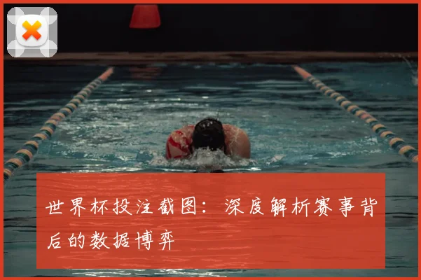 世界杯投注截图：深度解析赛事背后的数据博弈