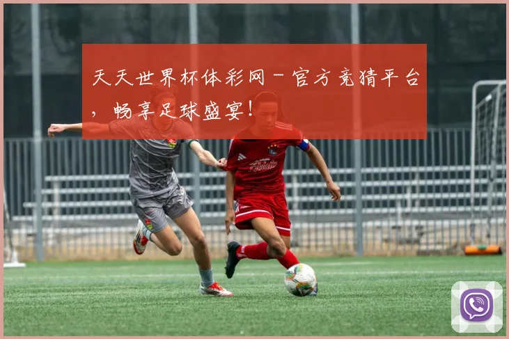 天天世界杯体彩网 - 官方竞猜平台,畅享足球盛宴!