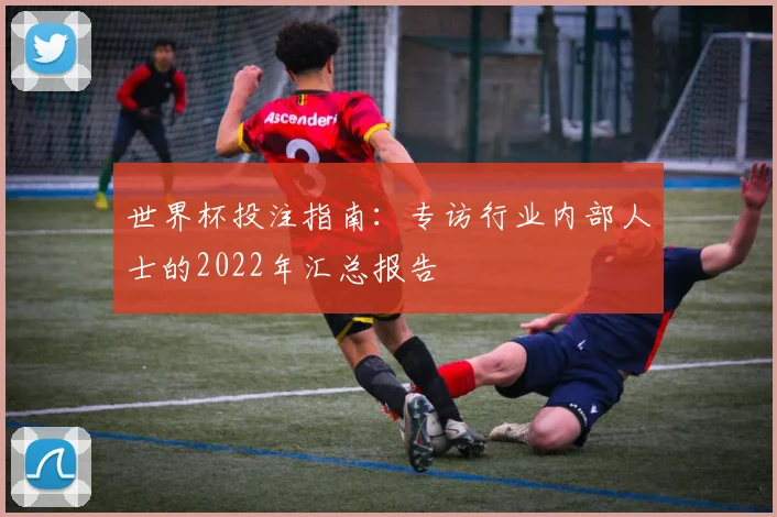 世界杯投注指南：专访行业内部人士的2022年汇总报告