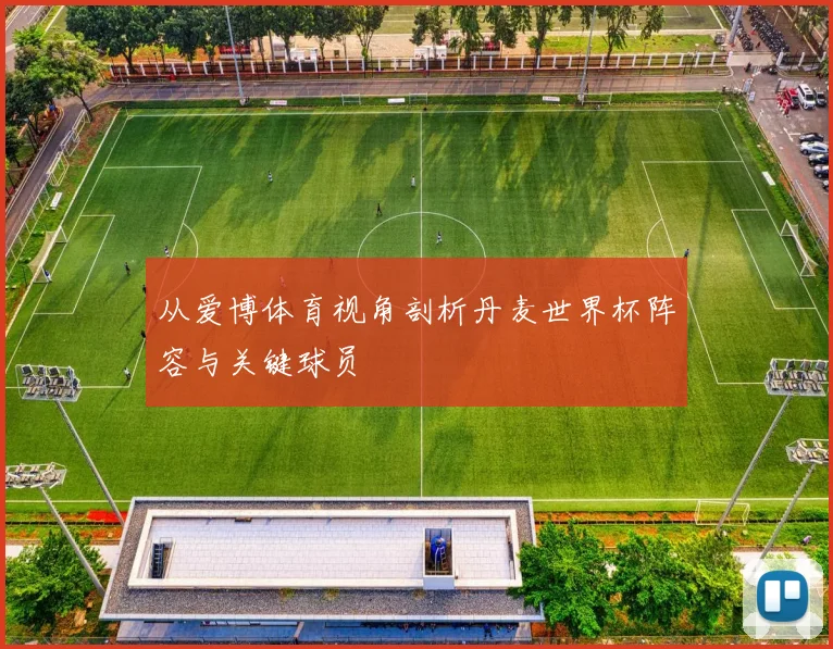 从爱博体育视角剖析丹麦世界杯阵容与关键球员