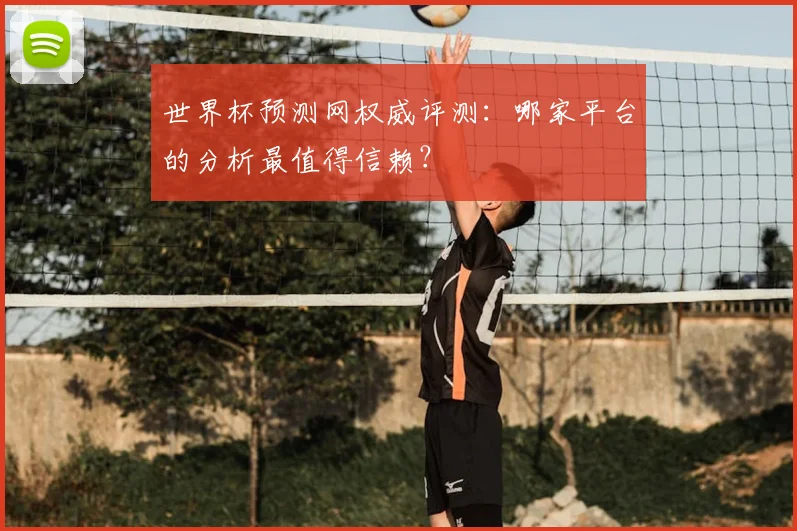 世界杯预测网权威评测：哪家平台的分析最值得信赖？
