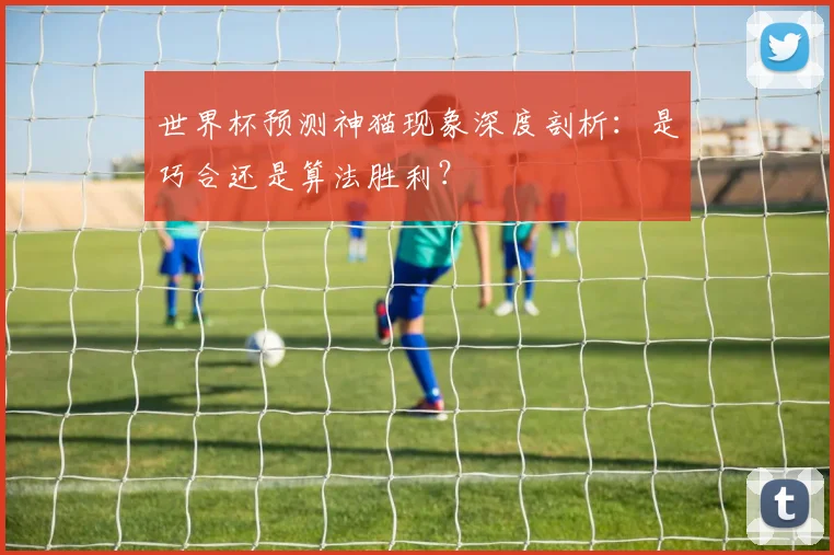 世界杯预测神猫现象深度剖析：是巧合还是算法胜利？
