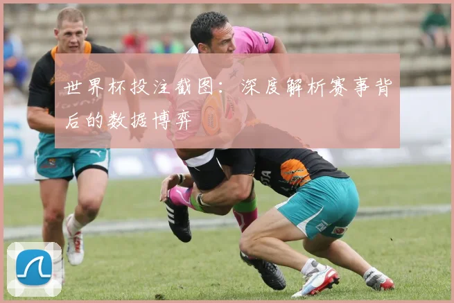 世界杯投注截图：深度解析赛事背后的数据博弈