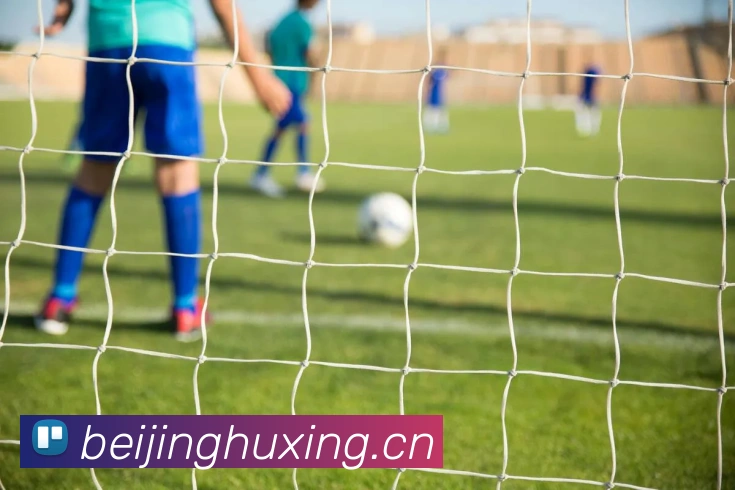 爱游戏官方登录APP 高清赛事图